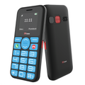 TTfone TT190 with USB Cable Giffgaff SIM Network
